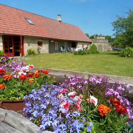 Ansumardi Farmstay Kavandi 외부 사진